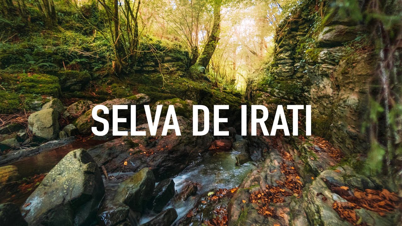 Senderismo-Fotografico-en-Otono-Captura-la-Magia-de-los-Bosques-1 - La Sierra Noticias
