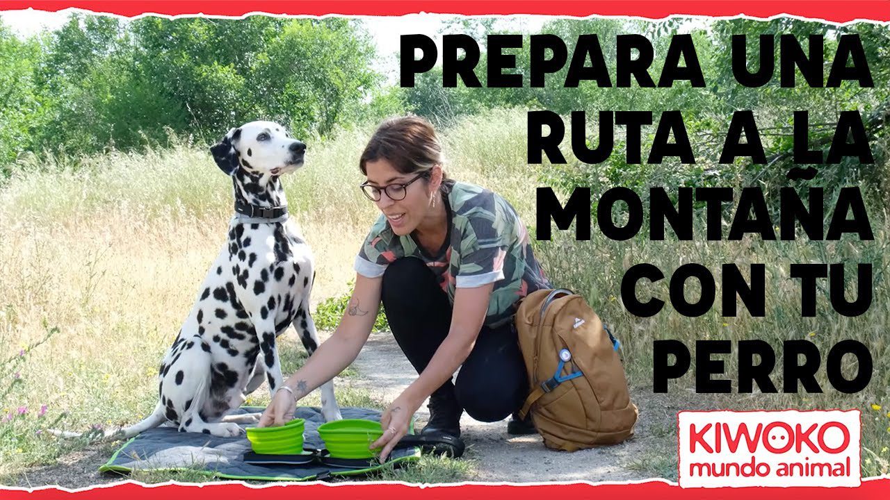 Senderismo-con-Mascotas-Rutas-para-Disfrutar-con-tu-Perro - La Sierra Noticias