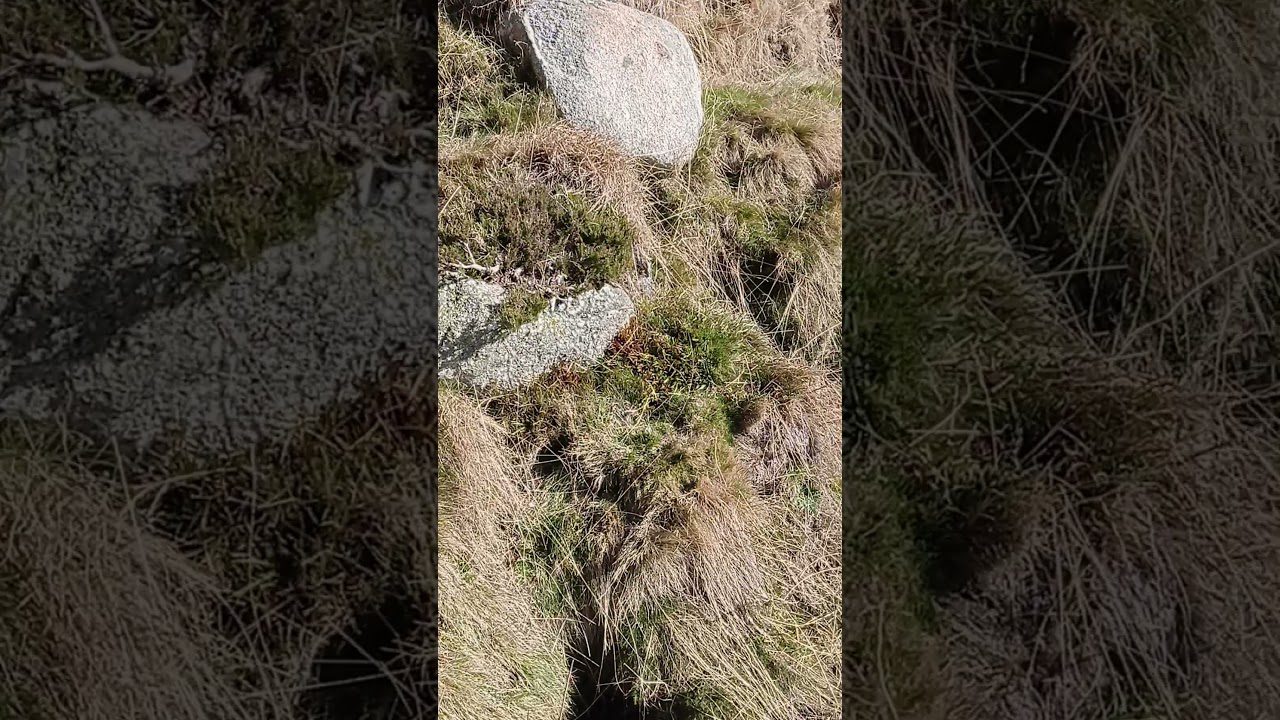 Senderismo-en-Riachuelos-Explora-los-Arroyos-de-la-Sierra-2 - La Sierra Noticias