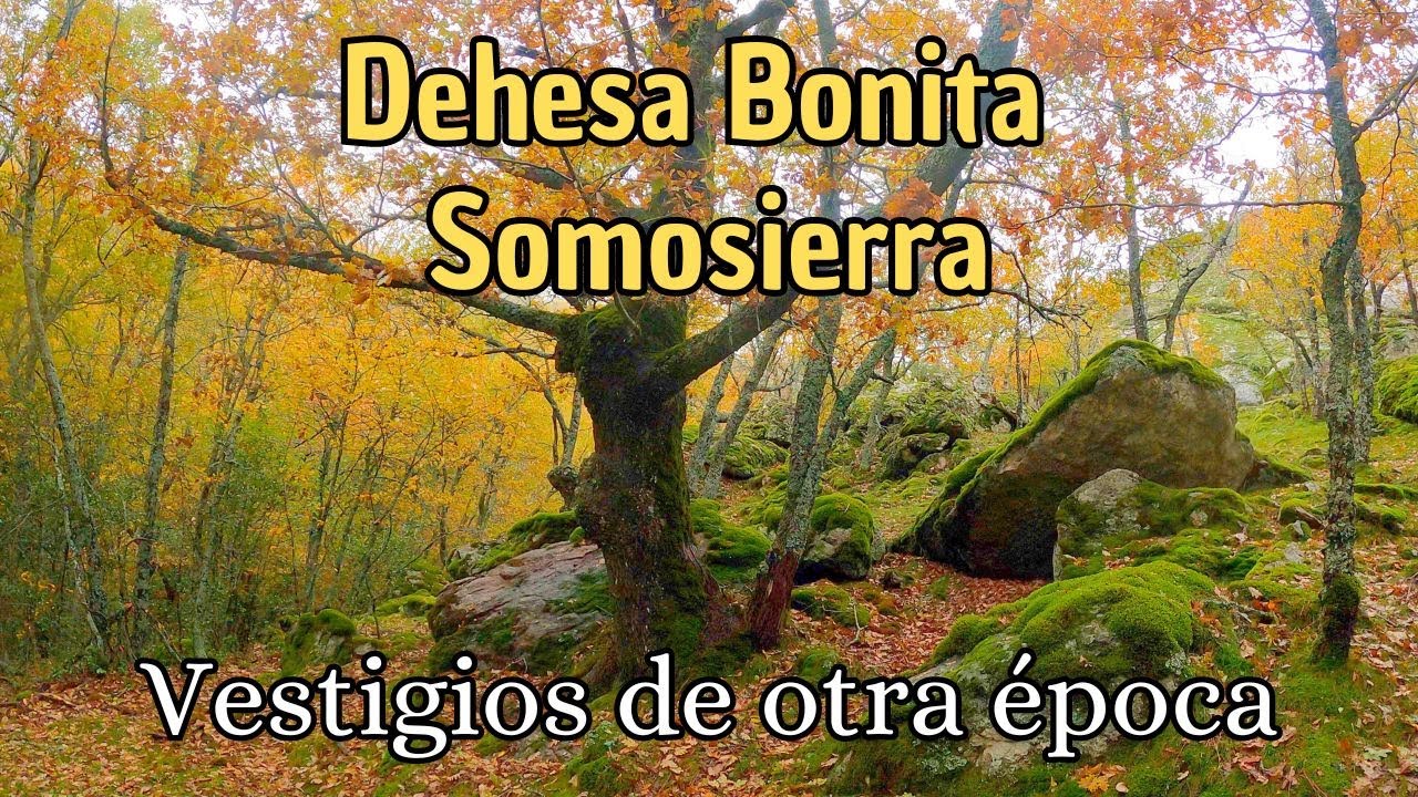 Senderos-Nocturnos-en-Otono-Descubre-la-Magia-de-los-Bosques - La Sierra Noticias