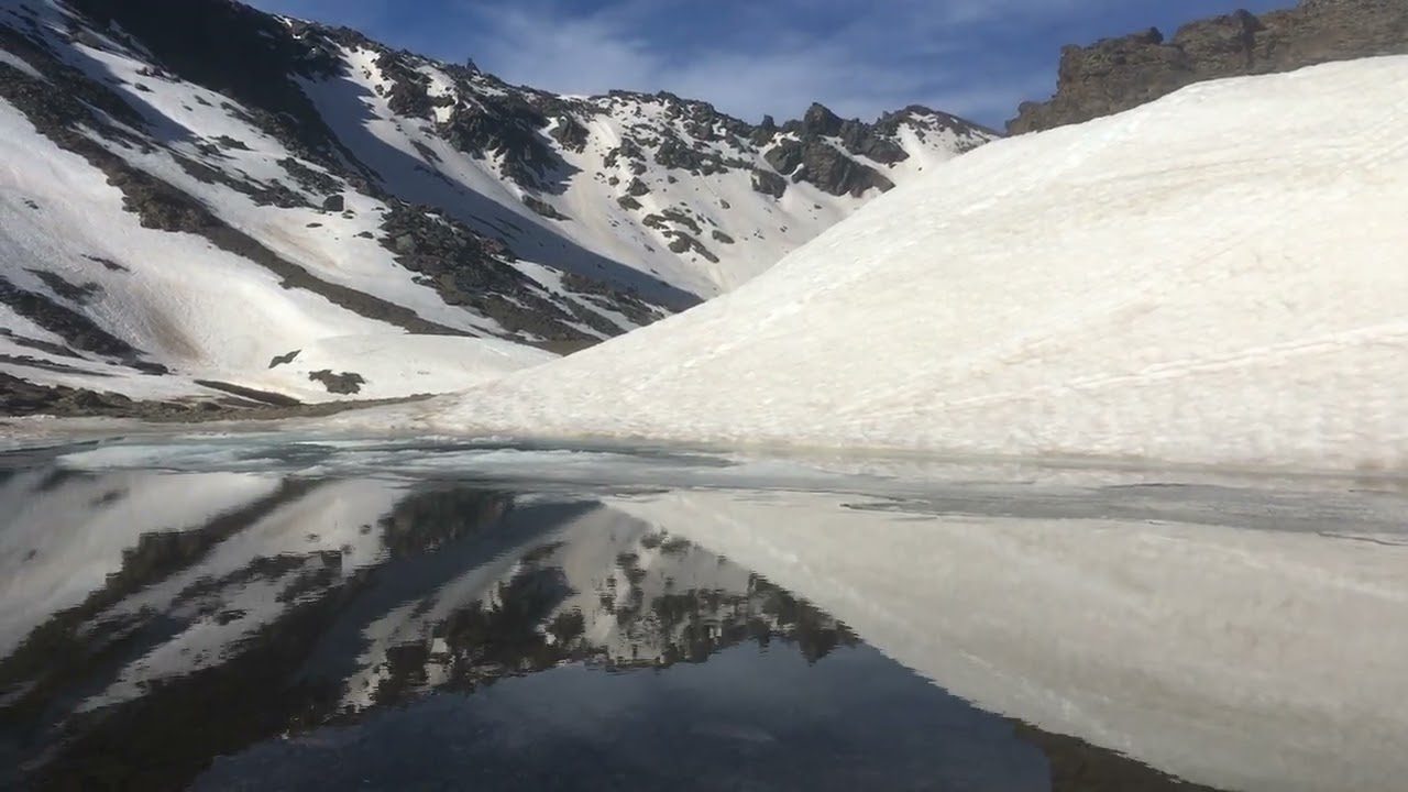 Sierra-Nevada-en-Primavera-Flores-y-Renovacion-en-las-Alturas - La Sierra Noticias