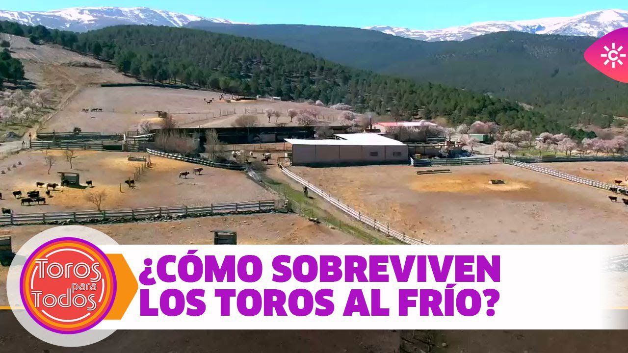 Sierra-de-Brabos - La Sierra Noticias