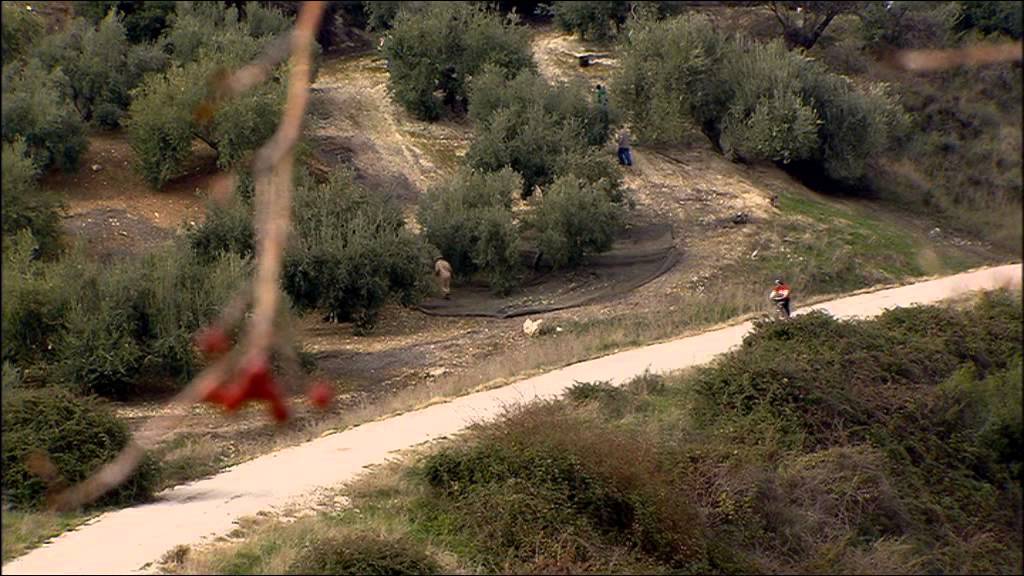 Sierra-de-Cordoba-en-Verde-Rutas-de-Ecoturismo-y-Sostenibilidad - La Sierra Noticias