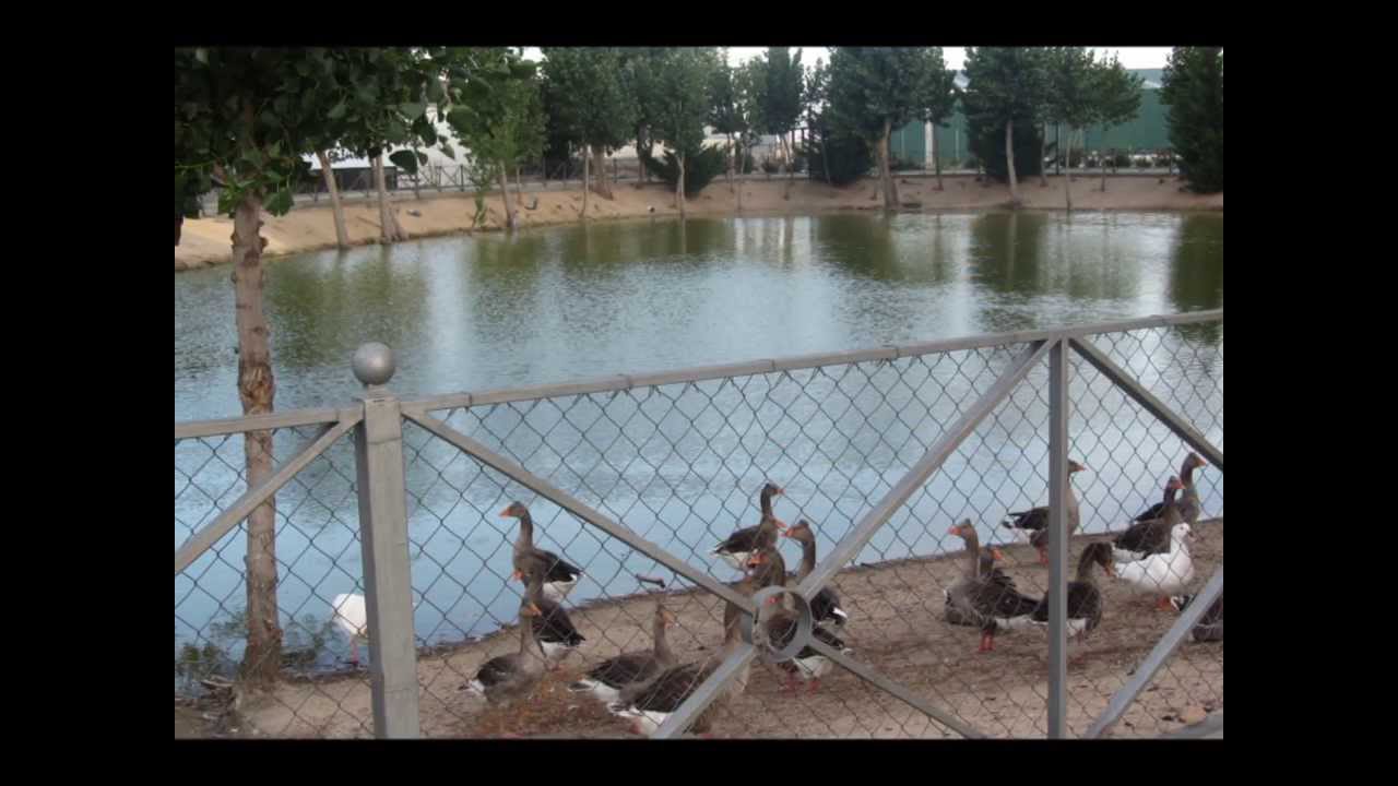 Sierra-de-Donjimeno - La Sierra Noticias