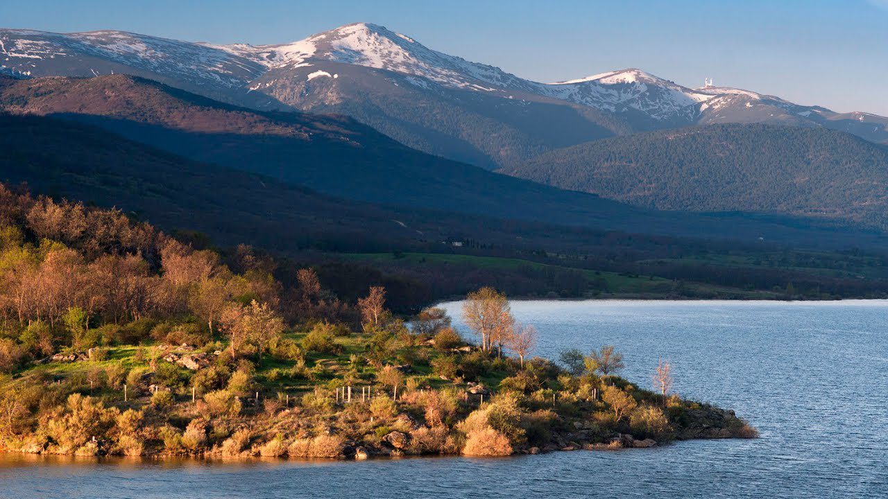 Sierra-de-Madrid-en-la-Noche-Descubre-la-Magia-del-Bosque-Iluminado - La Sierra Noticias