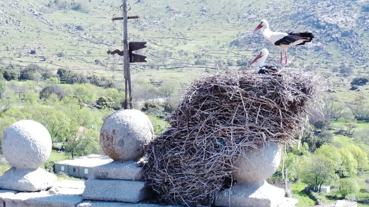 Sierra-de-Navalmoral - La Sierra Noticias