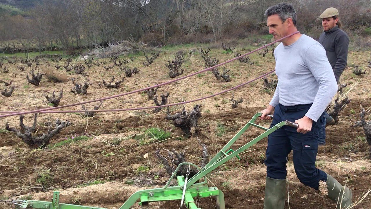 Sierra-de-Navarredondilla - La Sierra Noticias