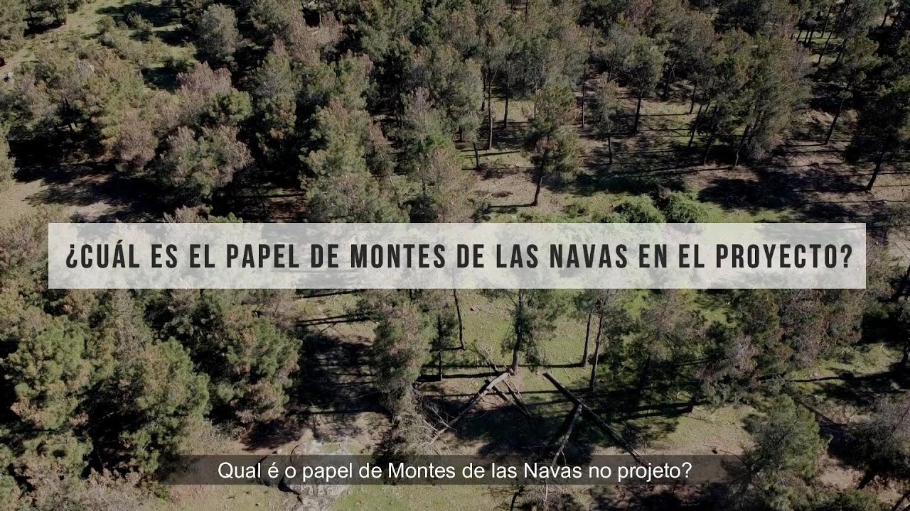 Sierra-de-Navas-del-Marques-s - La Sierra Noticias