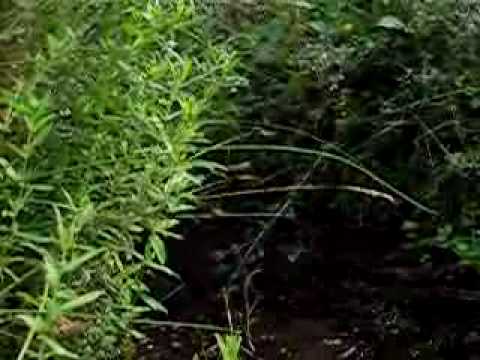 Sierra-de-Pozanco - La Sierra Noticias