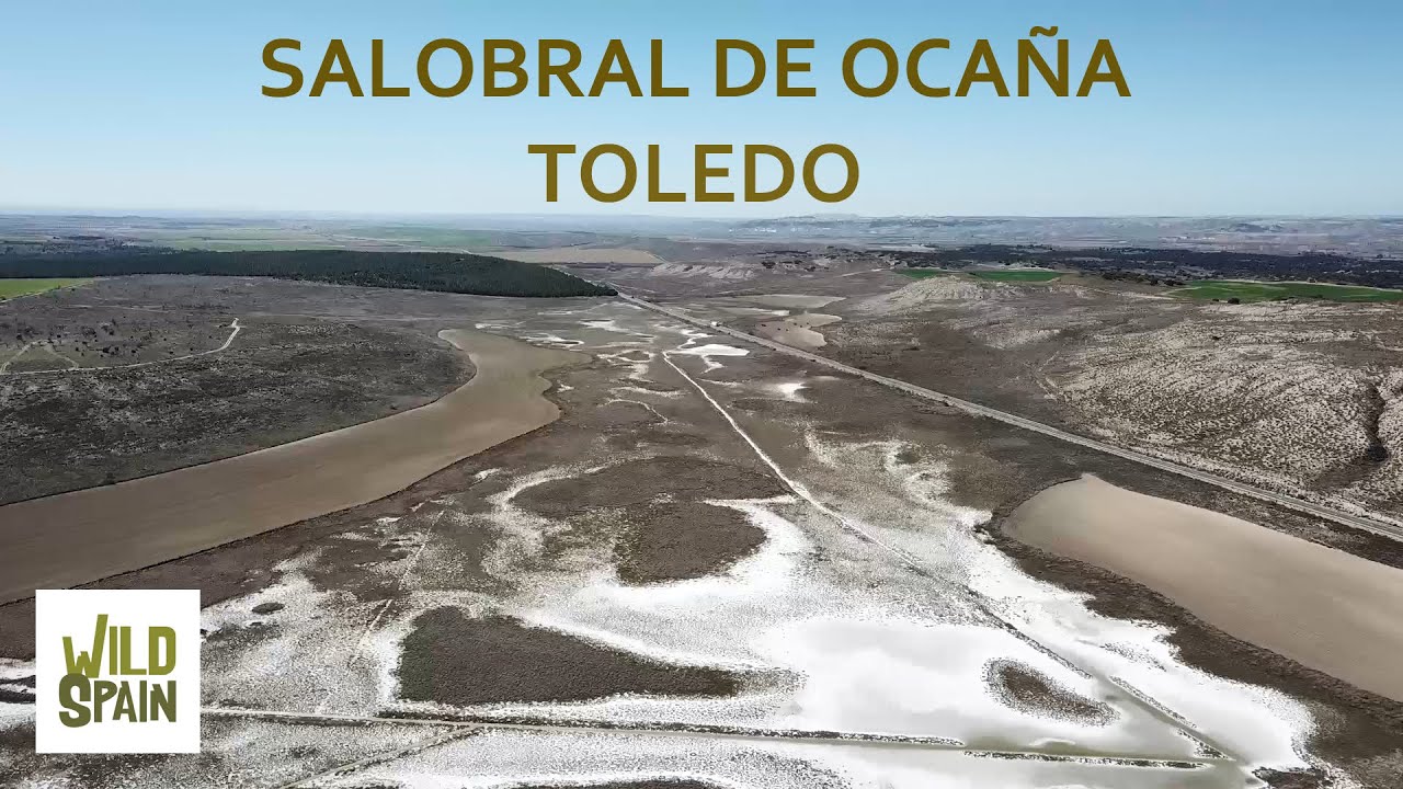 Sierra-de-Salobral - La Sierra Noticias