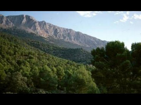 Vivir-en-Taberno - La Sierra Noticias