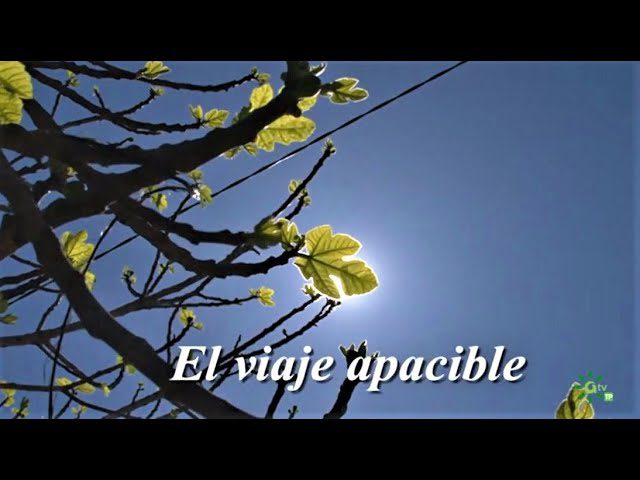 Excursiones-por-Bedar - La Sierra Noticias