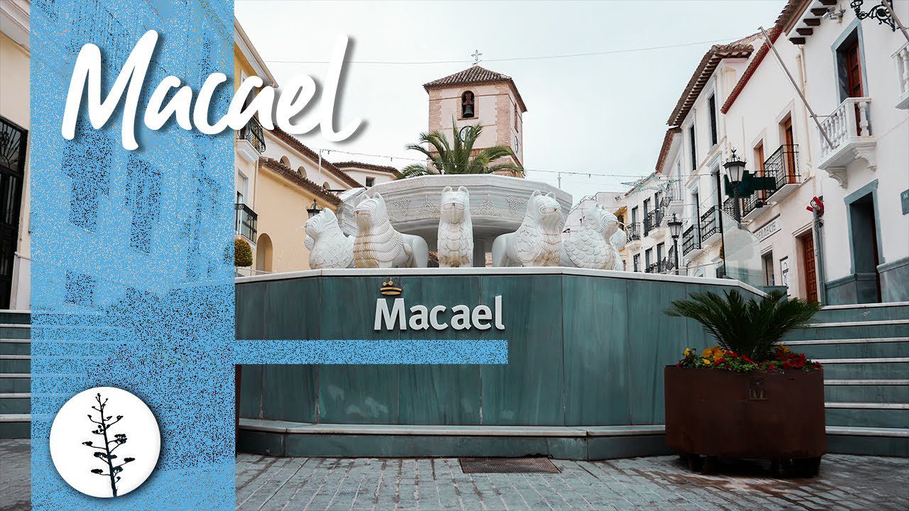 Excursiones-por-Macael - La Sierra Noticias