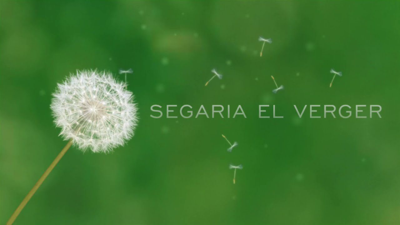 Excursiones-por-Verger - La Sierra Noticias