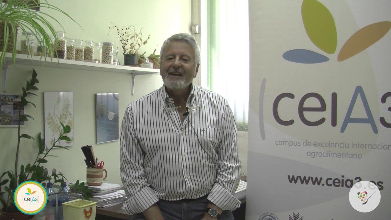 Historia-y-curiosidades-de-Haba - La Sierra Noticias