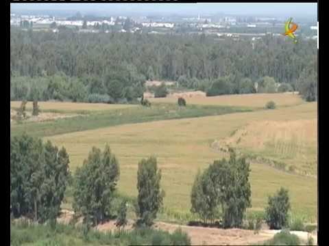 Historia-y-curiosidades-de-Lobon - La Sierra Noticias