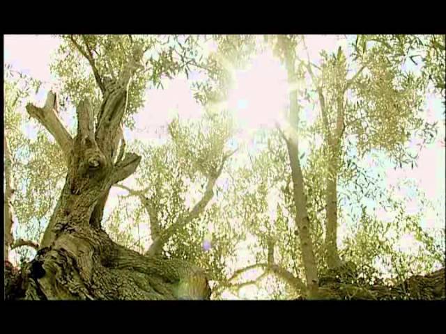 Historia-y-curiosidades-de-Sant-Joan-de-Labritja - La Sierra Noticias