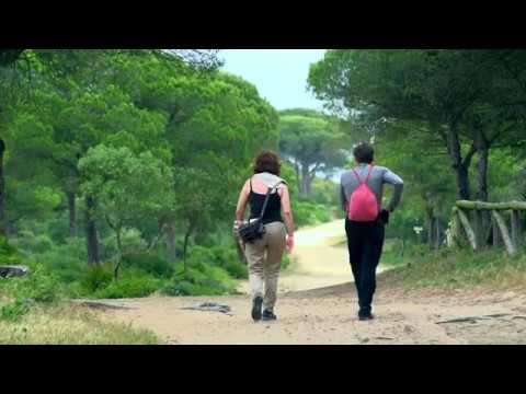 Parques-Naturales-Ecosistemas-Unicos-en-la-Sierra-de-Cadiz - La Sierra Noticias