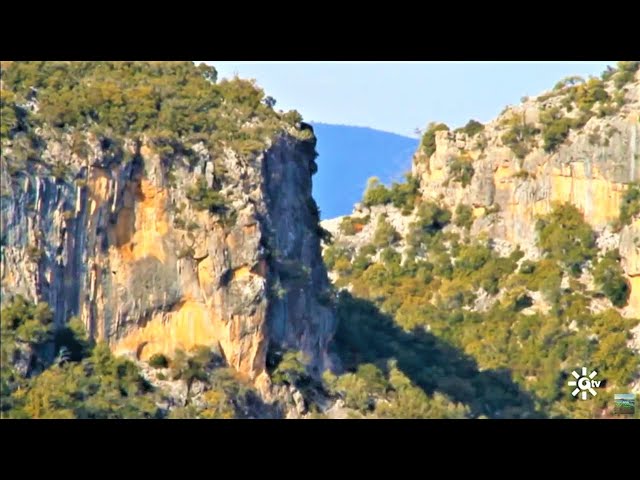 Senderismo-Fotografico-en-la-Sierra-de-Cadiz-Captura-su-Esencia - La Sierra Noticias