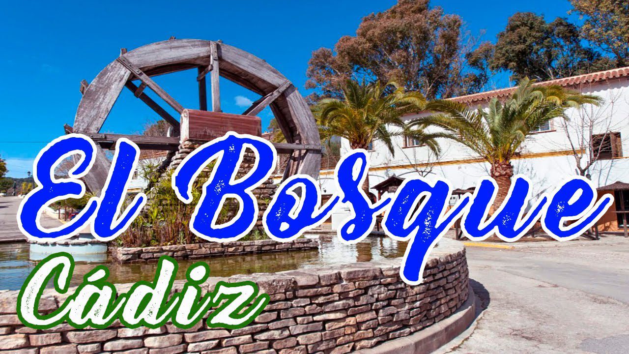 Sierra-de-Cadiz-en-la-Noche-Descubre-la-Magia-del-Bosque-Iluminado - La Sierra Noticias