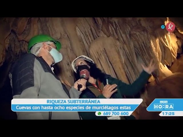 Sierra-de-Fuentes-de-Leon - La Sierra Noticias