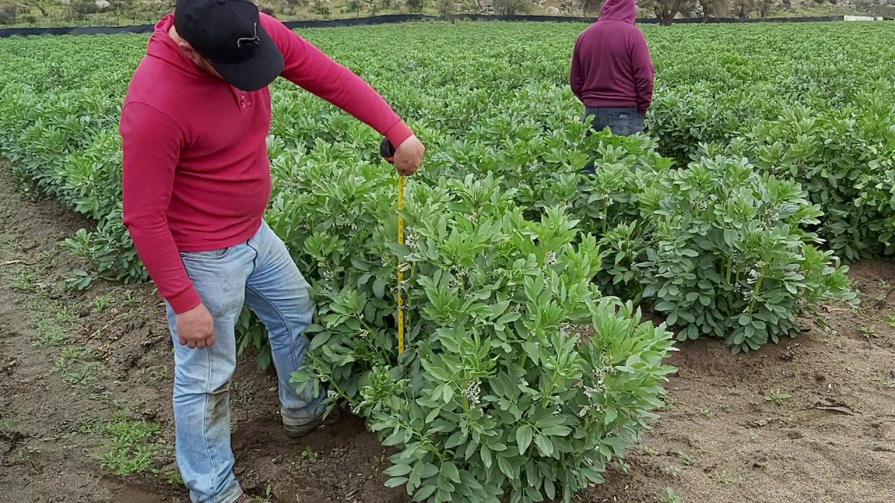 Sierra-de-Haba - La Sierra Noticias