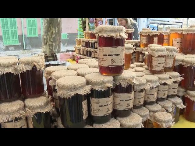 Sierra-de-Llubi - La Sierra Noticias