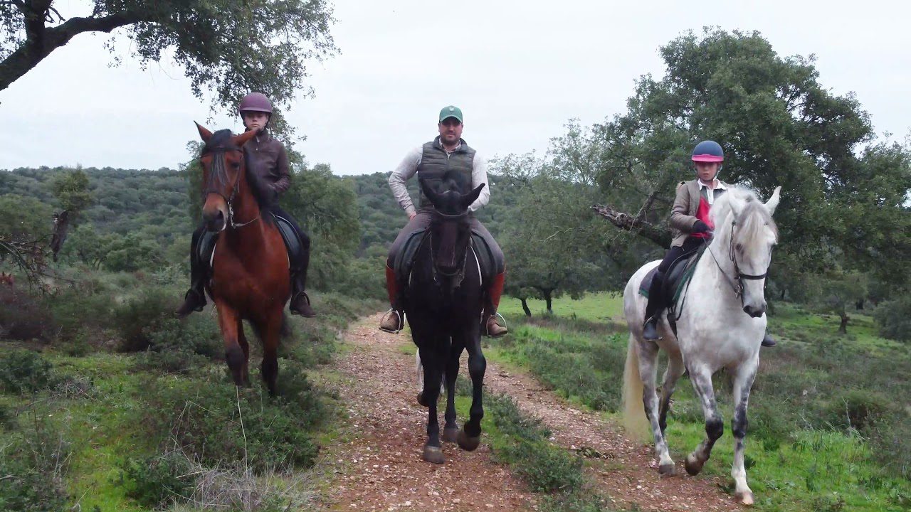 Sierra-de-Oliva-de-la-Frontera - La Sierra Noticias