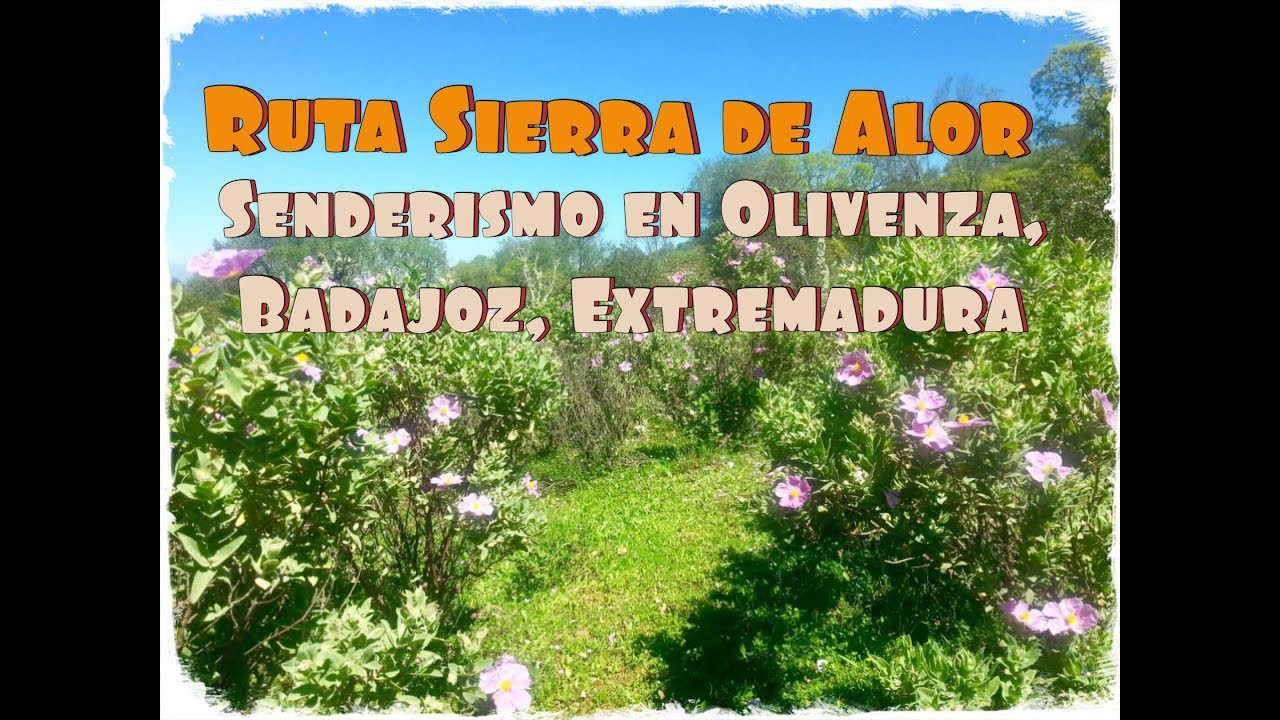Sierra-de-Olivenza - La Sierra Noticias