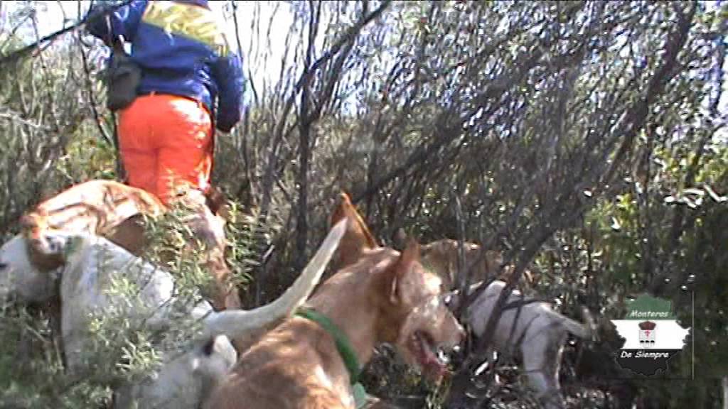 Sierra-de-Valle-de-la-Serena - La Sierra Noticias
