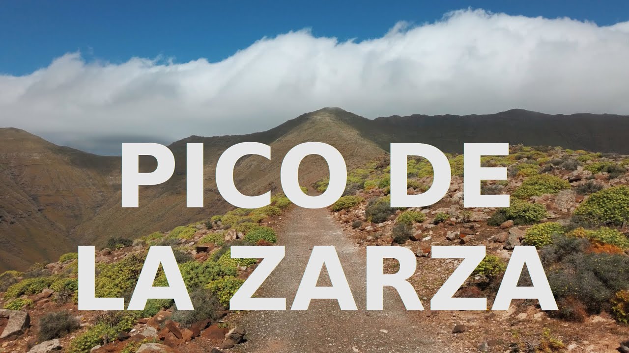 Sierra-de-Zarza - La Sierra Noticias