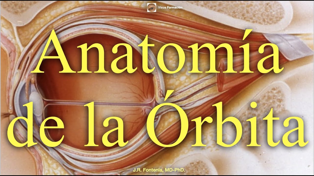 Centros-de-Salud-en-Orbita - La Sierra Noticias