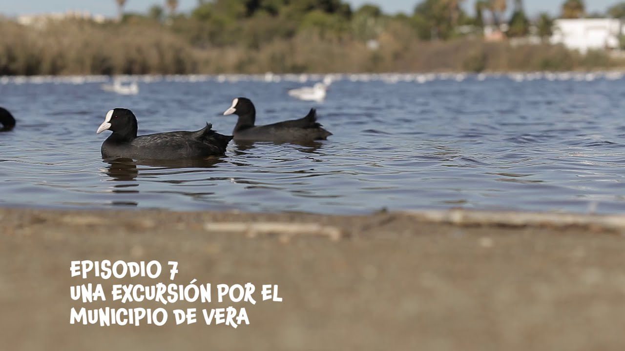 Excursiones-por-Vera - La Sierra Noticias