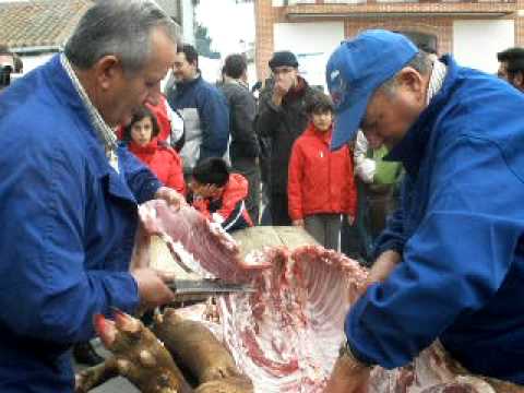Fiestas-de-Gotarrendura - La Sierra Noticias