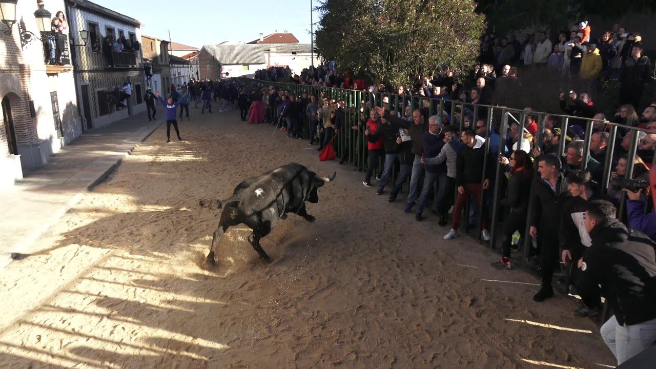 Fiestas-de-Horcajo-de-las-Torres - La Sierra Noticias