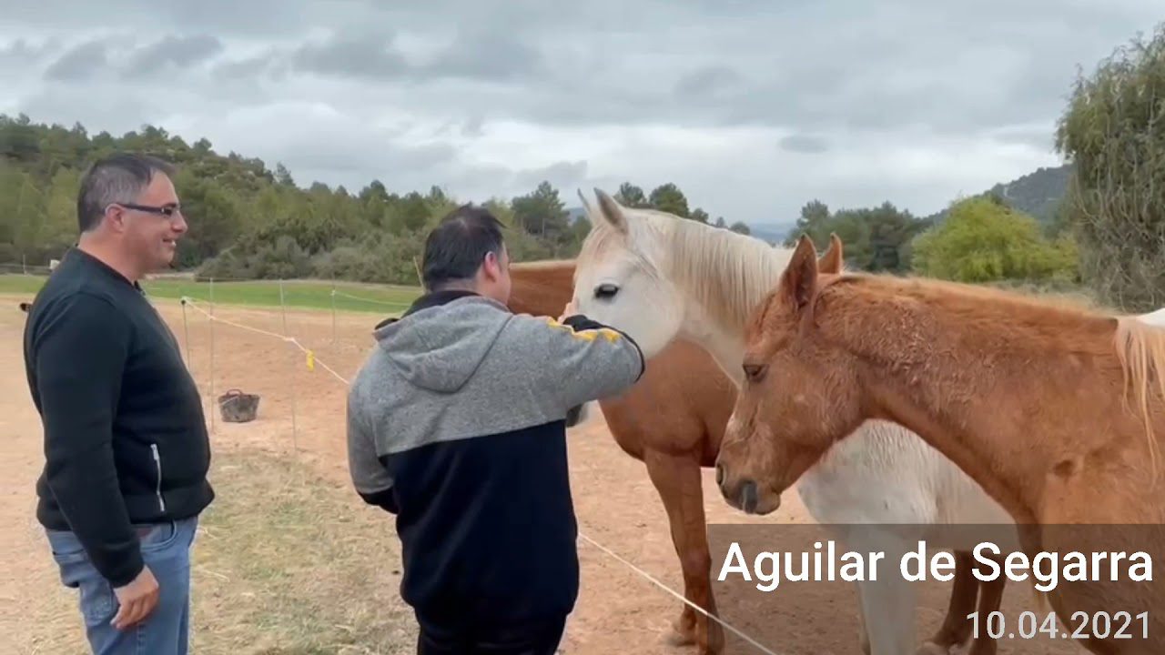 Historia-y-curiosidades-de-Aguilar-de-Segarra - La Sierra Noticias