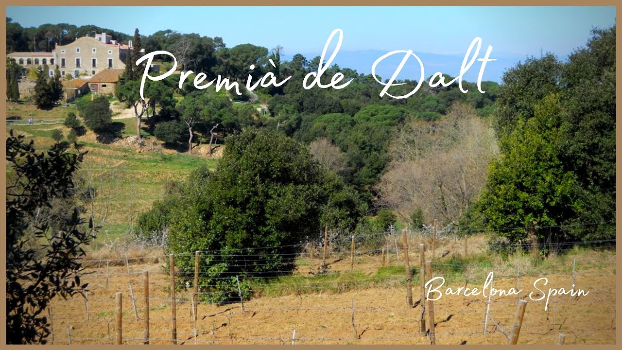 Sierra-de-Premia-de-Dalt - La Sierra Noticias