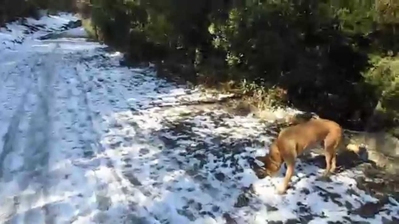 Sierra-de-Rellinars - La Sierra Noticias