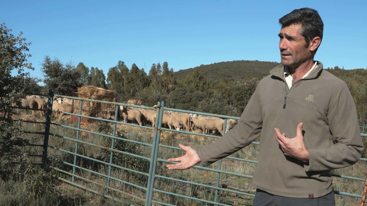 Vivir-en-Retamal-de-Llerena - La Sierra Noticias