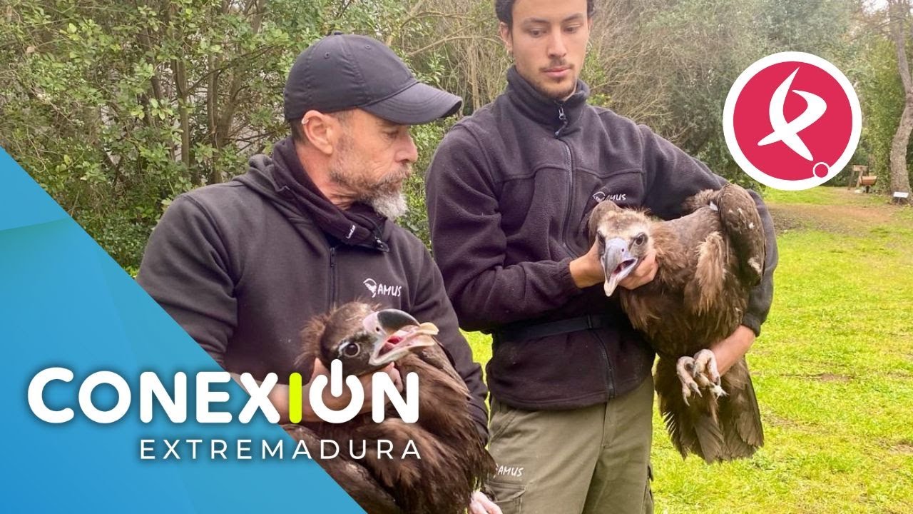 Vivir-en-Villafranca-de-los-Barros - La Sierra Noticias