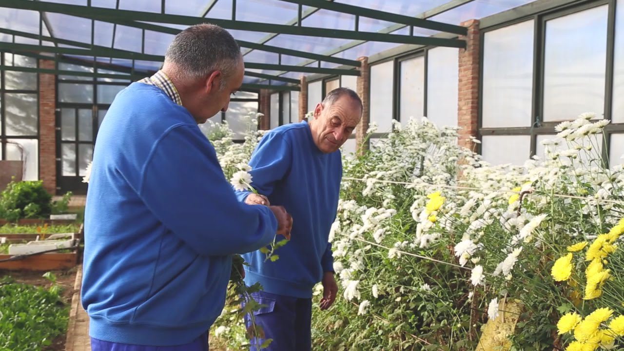 Centros-de-Salud-en-Fuente-de-Cantos - La Sierra Noticias