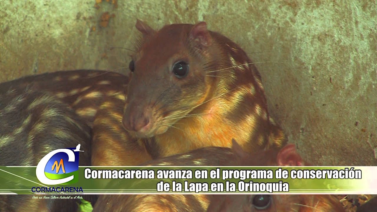 Centros-de-Salud-en-Lapa - La Sierra Noticias