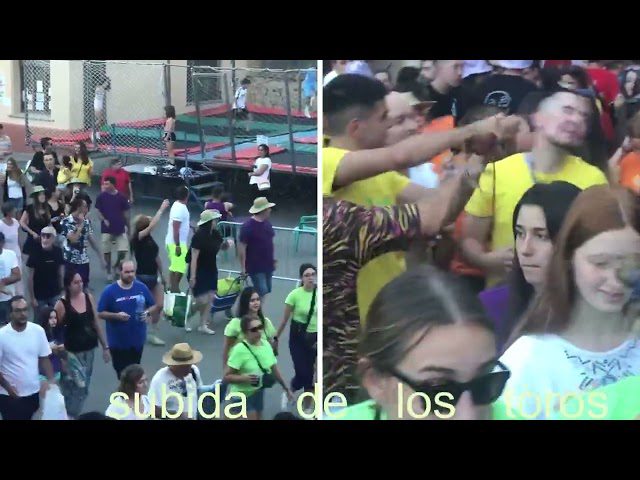 Fiestas-de-Berlanga - La Sierra Noticias