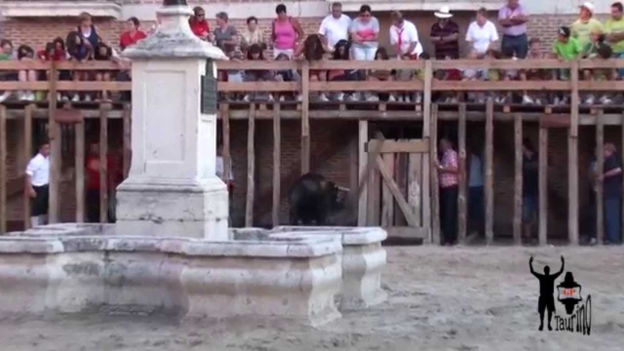 Fiestas-de-Serrada - La Sierra Noticias