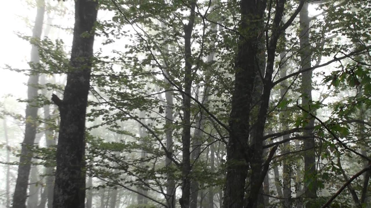 Sierra-de-Alfoz-de-Santa-Gadea - La Sierra Noticias