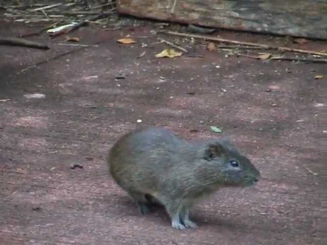 Sierra-de-Cavia - La Sierra Noticias
