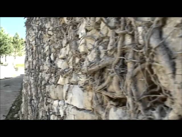 Sierra-de-Condado-de-Trevino - La Sierra Noticias