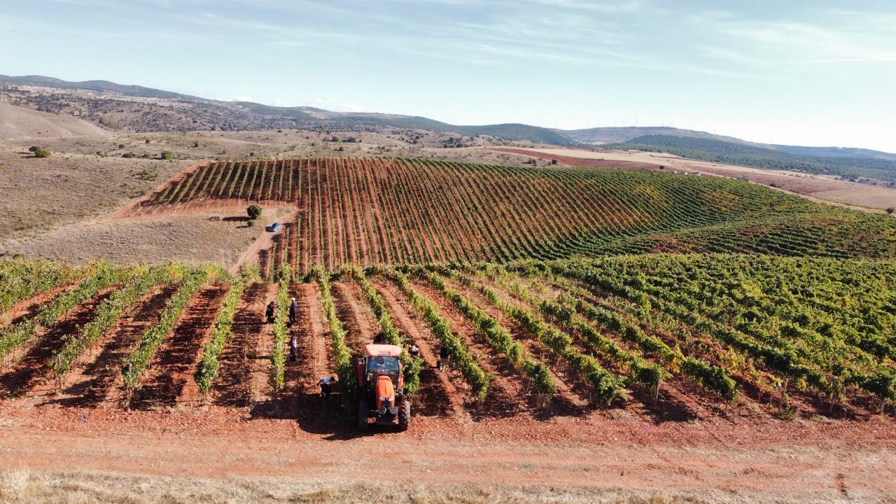 Sierra de	Fuentenebro