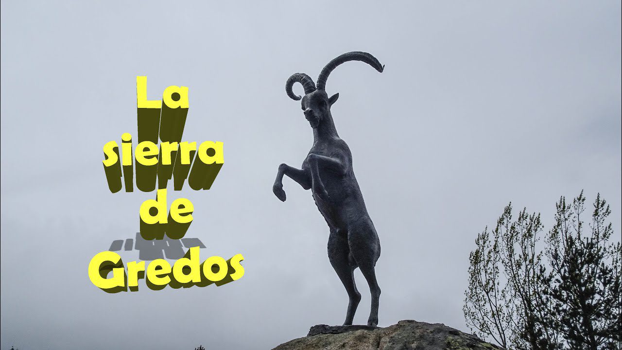 Excursiones-por-Navarredonda-de-Gredos - La Sierra Noticias Excursiones por Navarredonda de Gredos
