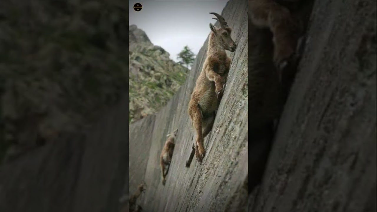 Historia-y-curiosidades-de-Huerta-de-Arriba - La Sierra Noticias Historia y curiosidades de Huerta de Arriba